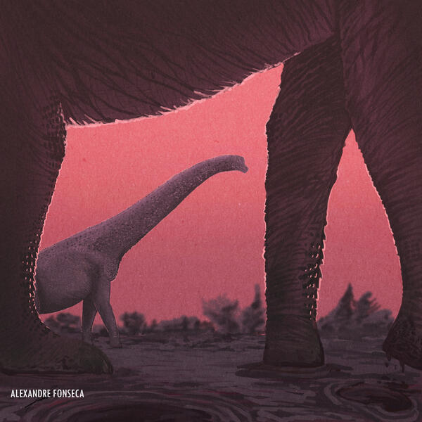 The Giant from Pombal