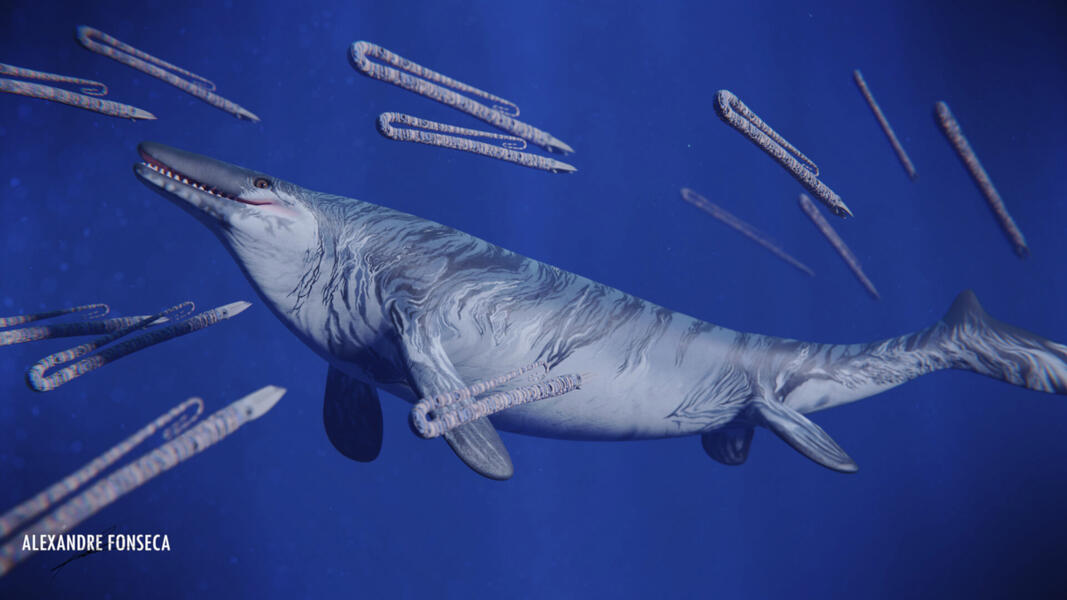 The Paperclips: 𝘋𝘪𝘱𝘭𝘰𝘮𝘰𝘤𝘦𝘳𝘢𝘴 sp. and 𝘔𝘰𝘴𝘢𝘴𝘢𝘶𝘳𝘶𝘴 𝘩𝘰𝘧𝘧𝘮𝘢𝘯𝘯𝘪𝘪