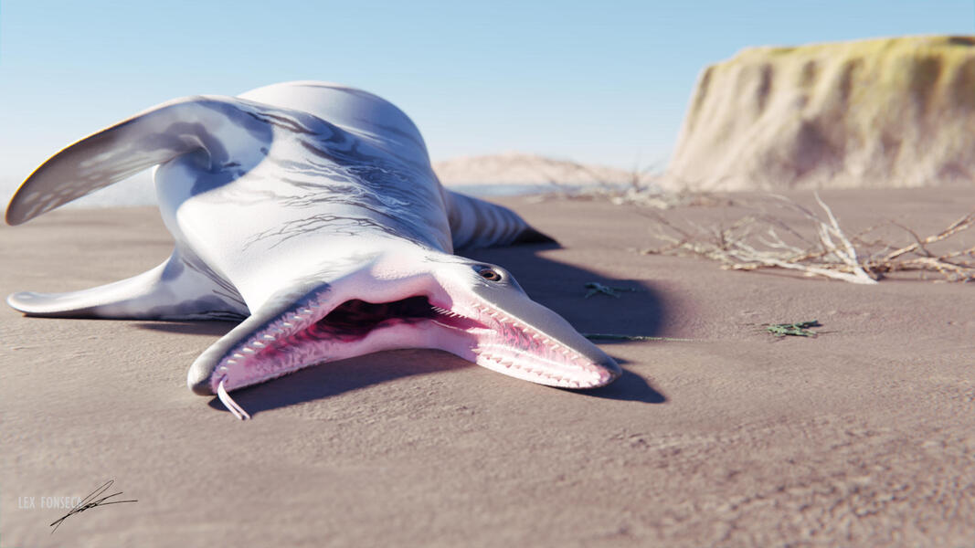 Beached ๐๐ฐ๐ด๐ข๐ด๐ข๐ถ๐ณ๐ถ๐ด ๐ฉ๐ฐ๐ง๐ง๐ฎ๐ข๐ฏ๐ฏ๐ช๐ช