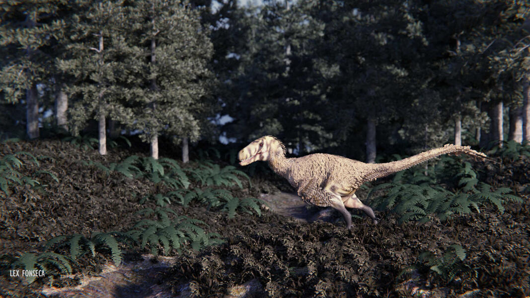 Cedar Mountain Fm. Scene: ๐๐ต๐ข๐ฉ๐ณ๐ข๐ฑ๐ต๐ฐ๐ณ ๐ฐ๐ด๐ต๐ณ๐ฐ๐ฎ๐ฎ๐ข๐บ๐ด๐ช