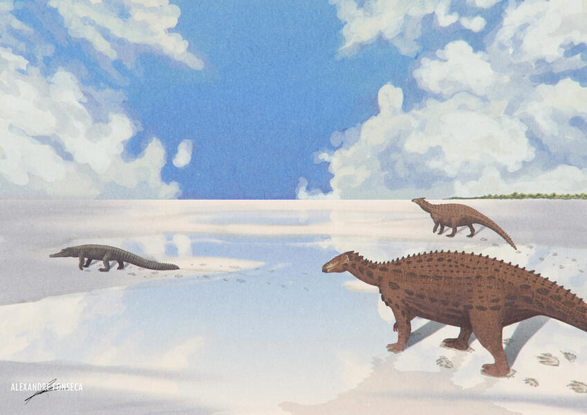 The Campo de Alvaiázere Tracksite