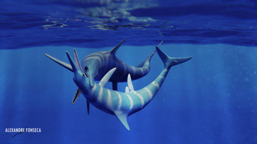 The Cruel Sea: 𝘛𝘦𝘮𝘯𝘰𝘥𝘰𝘯𝘵𝘰𝘴𝘢𝘶𝘳𝘶𝘴 𝘵𝘳𝘪𝘨𝘰𝘯𝘰𝘥𝘰𝘯 Fight