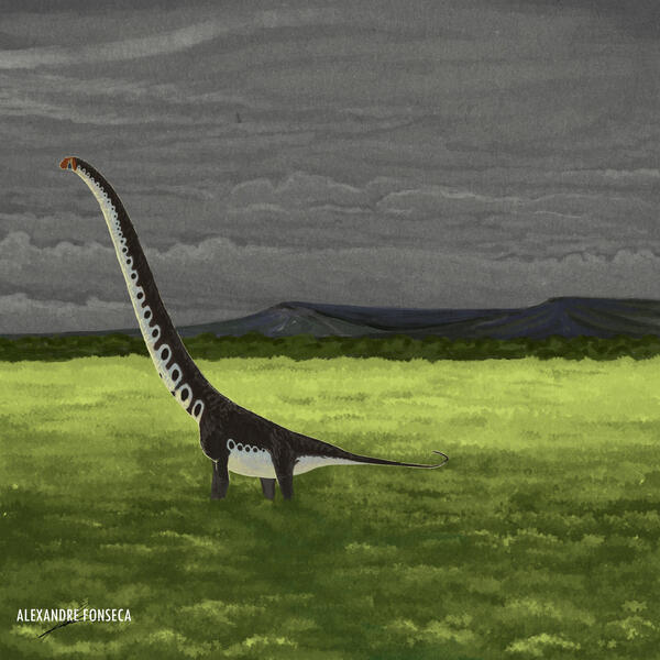 𝘟𝘪𝘯𝘫𝘪𝘢𝘯𝘨𝘵𝘪𝘵𝘢𝘯 𝘴𝘩𝘢𝘯𝘴𝘩𝘢𝘯𝘦𝘴𝘪𝘴