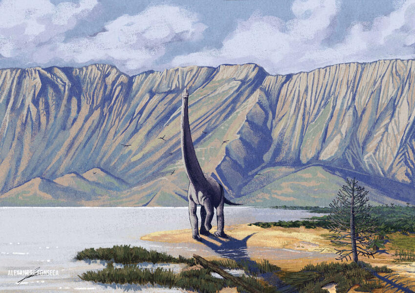 Giants of the Jurassic: ๐๐ถ๐ด๐ฐ๐ต๐ช๐ต๐ข๐ฏ and the Berlega Horst