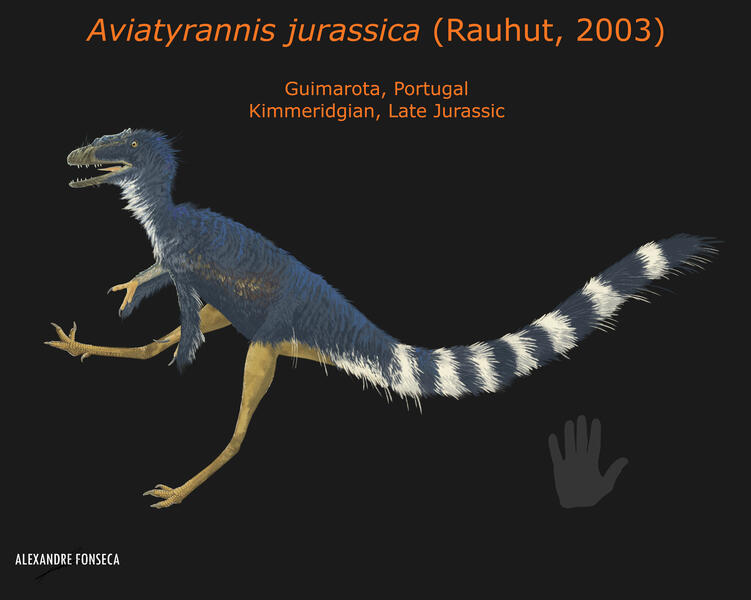 𝘈𝘷𝘪𝘢𝘵𝘺𝘳𝘢𝘯𝘯𝘪𝘴 𝘫𝘶𝘳𝘢𝘴𝘴𝘪𝘤𝘢